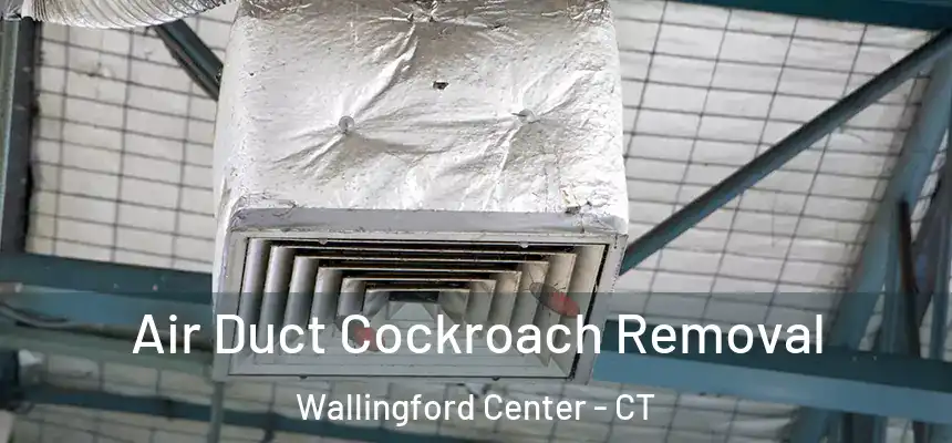  Air Duct Cockroach Removal Wallingford Center - CT