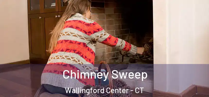  Chimney Sweep Wallingford Center - CT