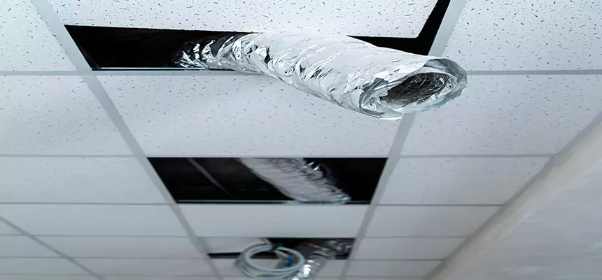 Our Air Duct Pet Hair Removal Services in Wallingford Center, CT