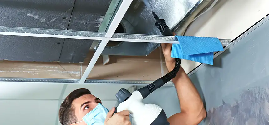 Our Air Duct Rodent Removal Services in Wallingford Center, CT