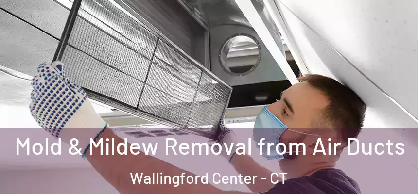  Mold & Mildew Removal from Air Ducts Wallingford Center - CT