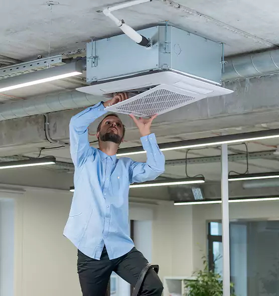 Advanced Rodent Droppings In Vents in Wallingford Center, CT